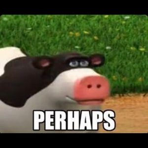 Meet your Posher, Bryce